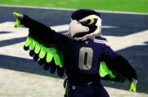 Blitz's Academy: How the Seattle Seahawks Mascot Trains for Success